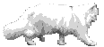 gatto immagini-animate-gif